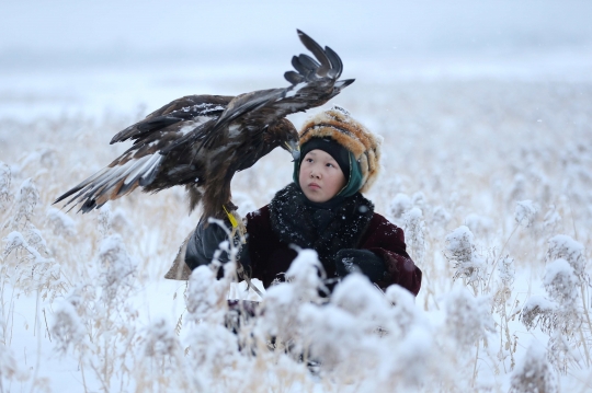 Kontes Berburu dengan Predator Udara di Kazakhstan