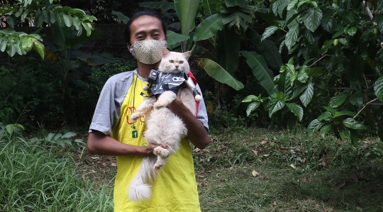 Saat Kucing Bergaya dengan Aneka Kostum Unik