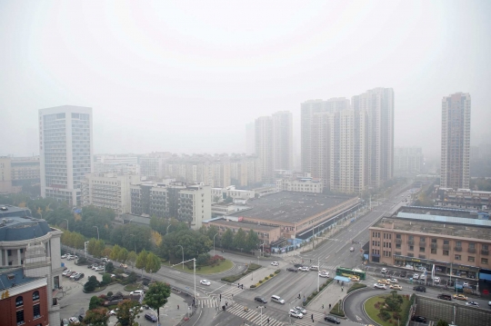 Melihat Pasar Makanan Laut Huanan di Wuhan, Tempat Asal Virus Corona