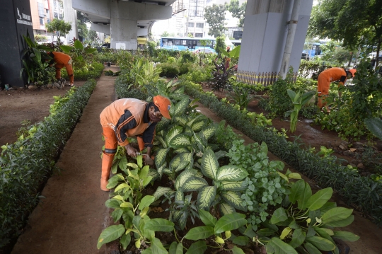 Menengok Pembibitan Tanaman Hias untuk Percantik Ibu Kota