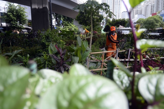 Menengok Pembibitan Tanaman Hias untuk Percantik Ibu Kota