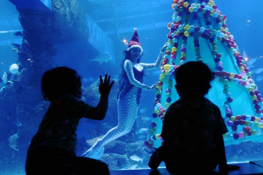 Aksi Sinterklas dan Putri Duyung Sapa Anak-Anak dari Aquarium