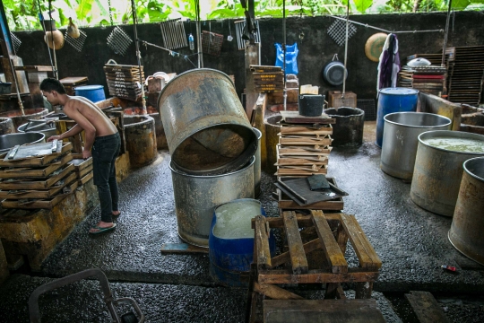 Harga Kedelai Melonjak, Pabrik Tahu dan Tempe Mogok