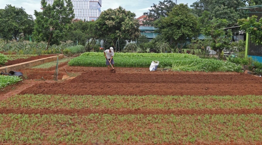 Rekreasi Sambil Belajar di Agro Edukasi Wisata Ragunan