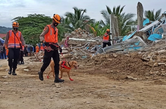 Aksi Anjing K9 Lacak Korban Gempa di Reruntuhan Rumah Sakit Mamuju