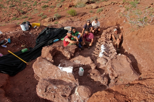 Penemuan Fosil Dinosaurus Raksasa Berusia 98 Juta Tahun