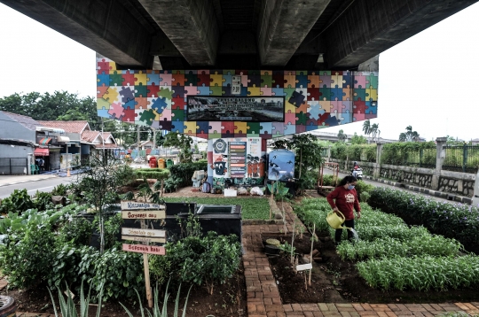 Menyulap Kolong Flyover Jadi Taman Sayur