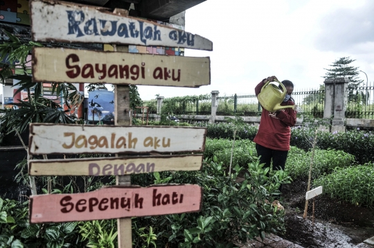 Menyulap Kolong Flyover Jadi Taman Sayur