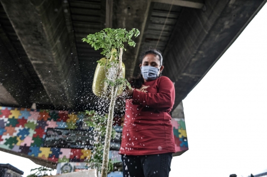 Menyulap Kolong Flyover Jadi Taman Sayur