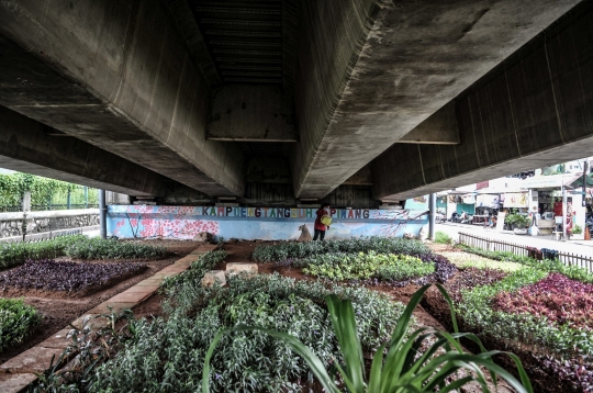 Menyulap Kolong Flyover Jadi Taman Sayur