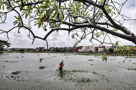 Menjala Ikan di Kuburan