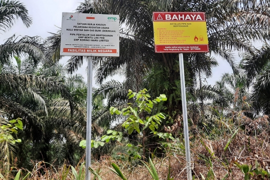 Penampakan Semburan Gas Berbahaya di Pekanbaru