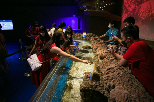 Atraksi Liong Dalam Air Semarakkan Imlek di Jakarta Aquarium Safari