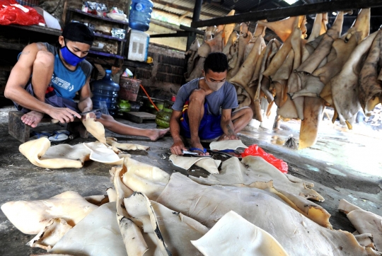 Pembuat Kerupuk Kulit Bertahan di Tengah Pandemi