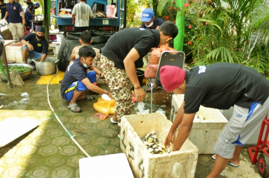 Dapur Umum di Sulbar yang Setiap Hari Siapkan 4.000 Nasi Bungkus untuk Korban Gempa