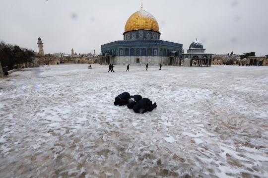 Salju Selimuti Tanah Palestina