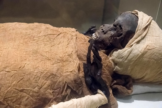 Wujud Mumi Firaun Seqenenre Taa II yang Tewas Dibantai di Medan Perang