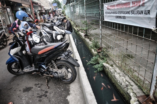 Warga Koja Sulap Selokan Jadi Kolam Ikan