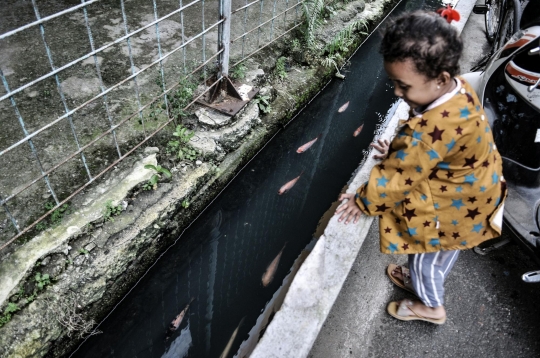 Warga Koja Sulap Selokan Jadi Kolam Ikan