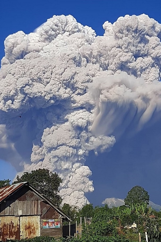 Awan Panas Gunung Sinabung Kembali Menyembur 2.000 Meter