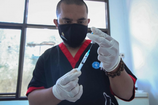 Ratusan Hewan Peliharaan di Tangerang Disuntik Vaksin Antirabies