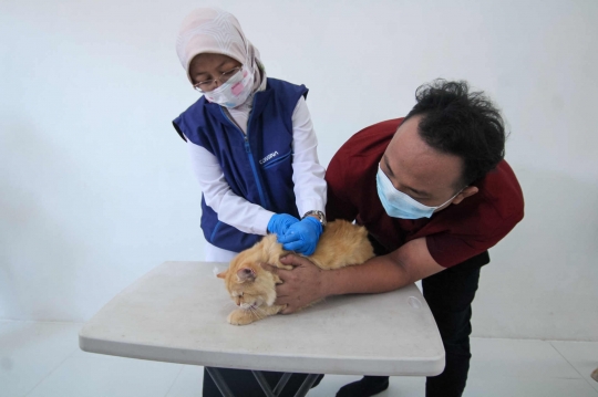 Ratusan Hewan Peliharaan di Tangerang Disuntik Vaksin Antirabies