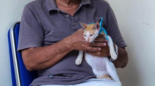 Ratusan Hewan Peliharaan di Tangerang Disuntik Vaksin Antirabies