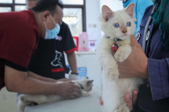 Ratusan Hewan Peliharaan di Tangerang Disuntik Vaksin Antirabies