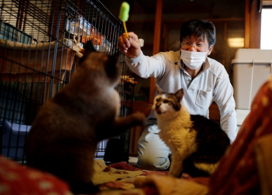 Kisah Penyelamat Kucing di Zona Terlarang Fukushima