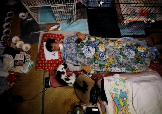 Kisah Penyelamat Kucing di Zona Terlarang Fukushima