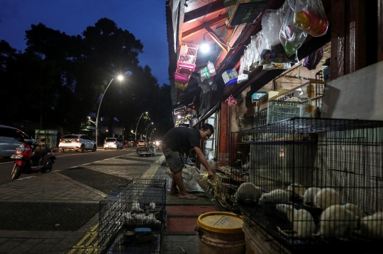 Pedagang Hewan Barito Bertahan di Masa Pandemi