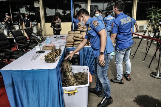 Kapolda Metro Jaya Ungkap Ladang Ganja Seluas 12 Hektare