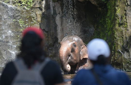 Taman Margasatwa Ragunan Kembali Dibuka, Pengunjung Luar DKI Boleh Masuk