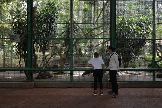 Taman Margasatwa Ragunan Kembali Dibuka, Pengunjung Luar DKI Boleh Masuk