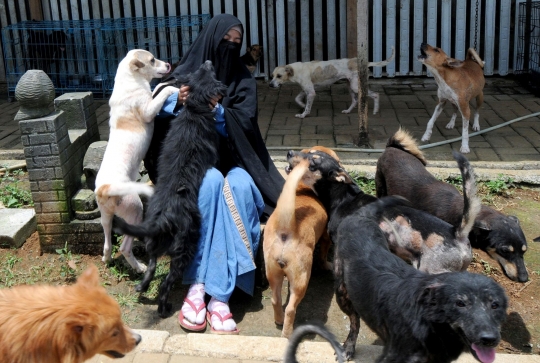 Kisah Wanita Bercadar Jadi Pecinta Anjing di Bogor