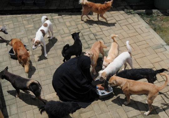 Kisah Wanita Bercadar Jadi Pecinta Anjing di Bogor