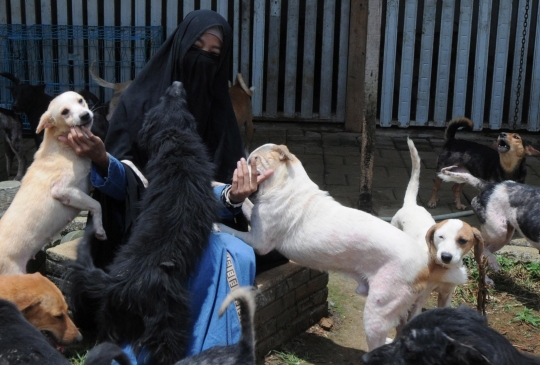 Kisah Wanita Bercadar Jadi Pecinta Anjing di Bogor