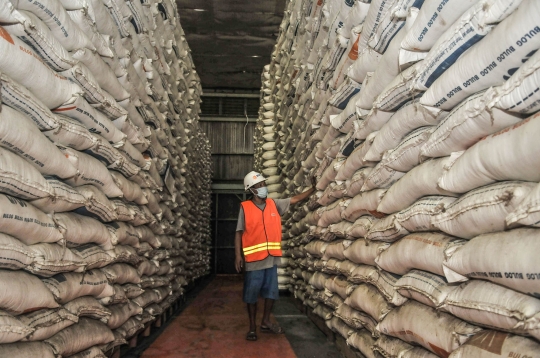 Penampakan Ratusan Ribu Ton Beras Tak Terpakai di Gudang Bulog