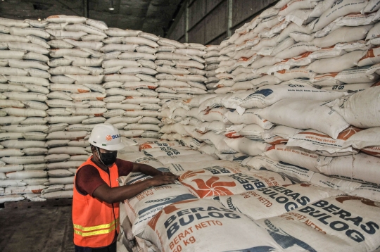 Penampakan Ratusan Ribu Ton Beras Tak Terpakai di Gudang Bulog