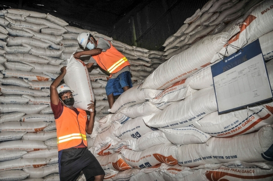 Penampakan Ratusan Ribu Ton Beras Tak Terpakai di Gudang Bulog