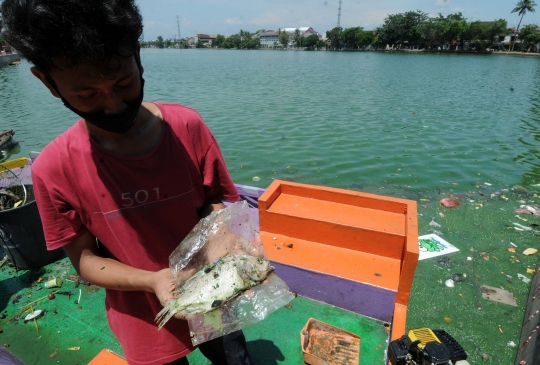 Sampah Plastik Kotori Setu Rawa Besar