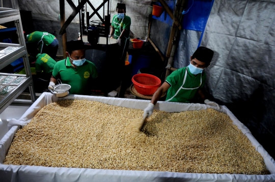 Tempe Produksi Santri di Depok