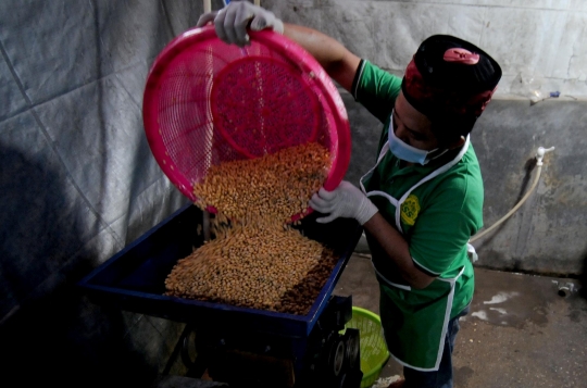 Tempe Produksi Santri di Depok