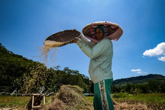 Alokasi KUR Petani