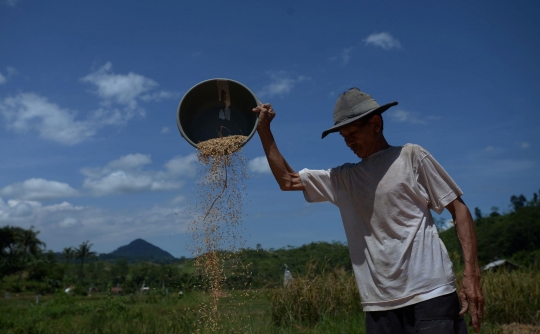 Alokasi KUR Petani