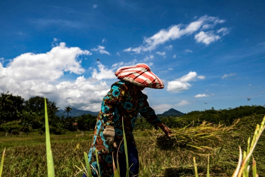 Alokasi KUR Petani