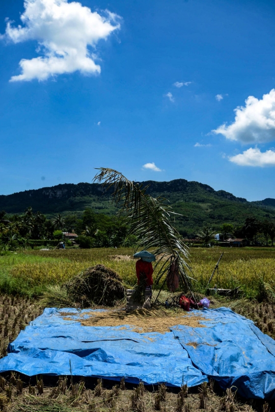 Alokasi KUR Petani