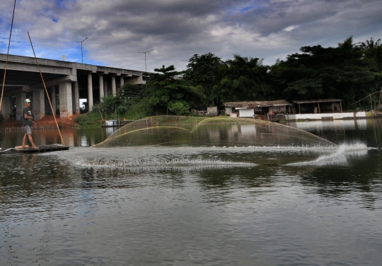 Potret Pencari Ikan di Setu Sasak Tinggi Pamulang