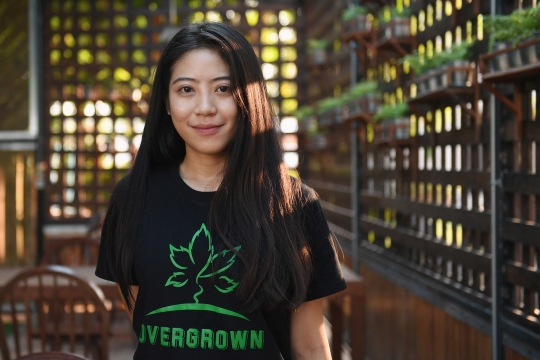 Melihat Kebun Ganja Pertama di Thailand