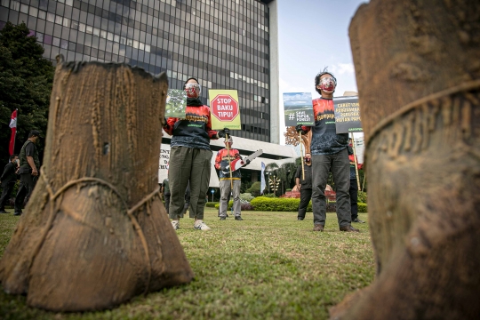 Aktivis Greenpeace Tolak Perusakan Hutan Papua